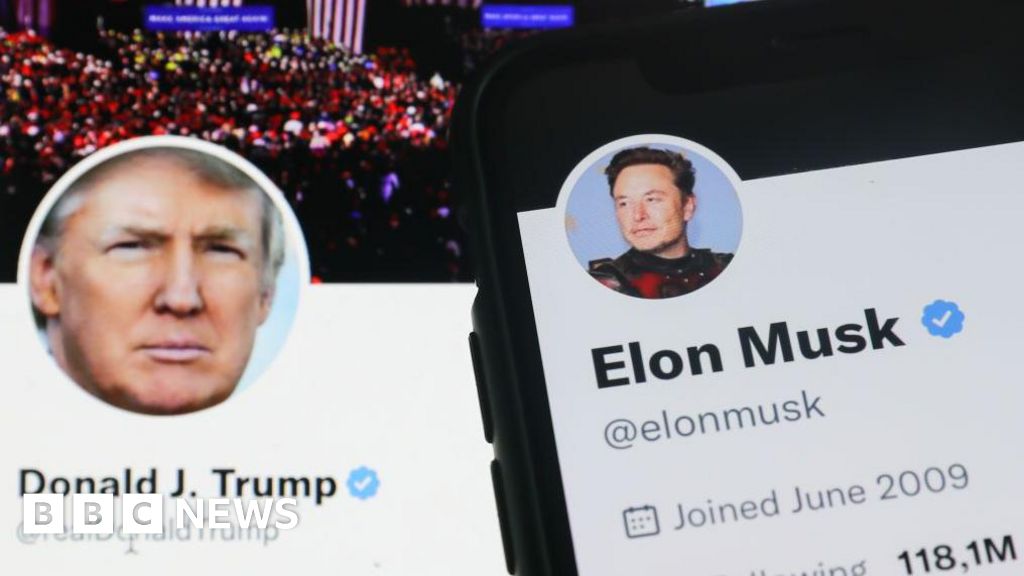 Cómo la entrevista entre Trump y Musk solidificará el tumultuoso bromance